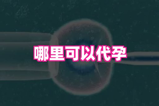 河南助孕网站 1