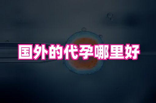 河南助孕网站 4